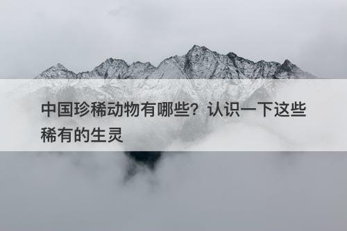 中国珍稀动物有哪些？认识一下这些稀有的生灵-图1
