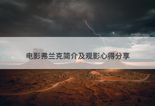 电影弗兰克简介及观影心得分享