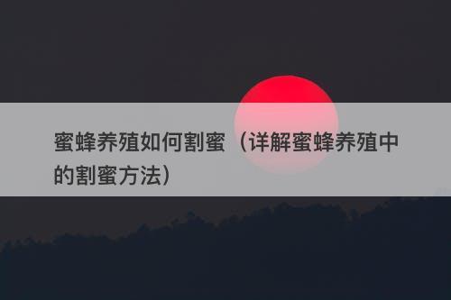 蜜蜂养殖如何割蜜(详解蜜蜂养殖中的割蜜方法)