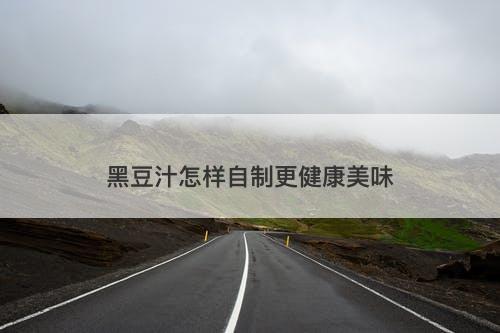 黑豆汁怎样自制更健康美味