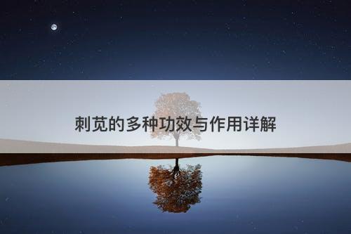 刺苋的多种功效与作用详解