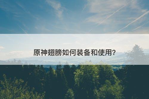 原神翅膀如何装备和使用？-图1