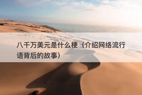 八千万美元是什么梗（介绍网络流行语背后的故事）