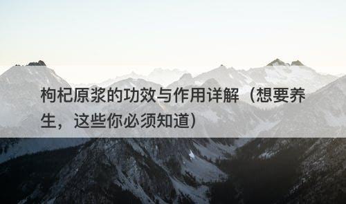 枸杞原浆的功效与作用详解（想要养生，这些你必须知道）
