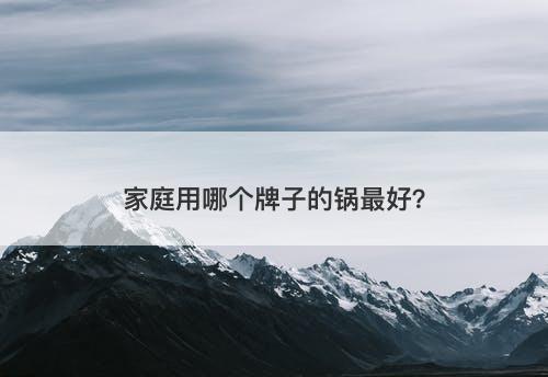 家庭用哪个牌子的锅最好？