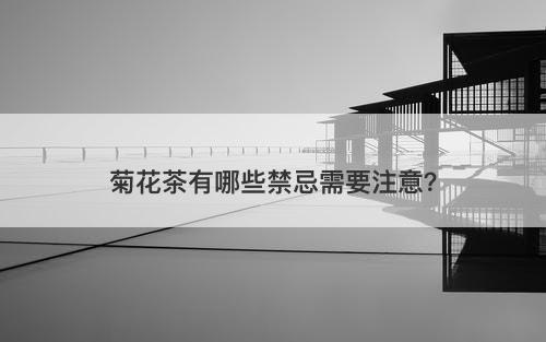菊花茶有哪些禁忌需要注意？