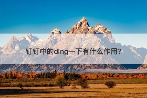 钉钉中的ding一下有什么作用？