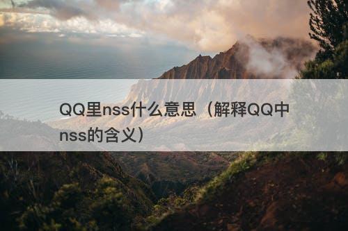 QQ里nss什么意思(解释QQ中nss的含义)