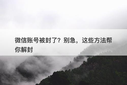 微信账号被封了?别急,这些方法帮你解封