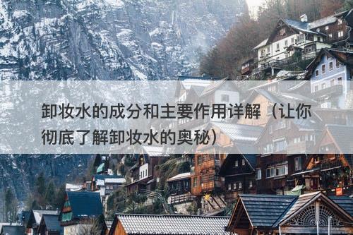 卸妆水的成分和主要作用详解（让你彻底了解卸妆水的奥秘）