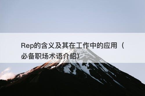 Rep的含义及其在工作中的应用(必备职场术语介绍)
