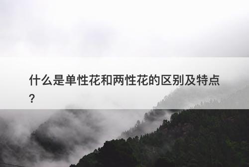 什么是单性花和两性花的区别及特点?
