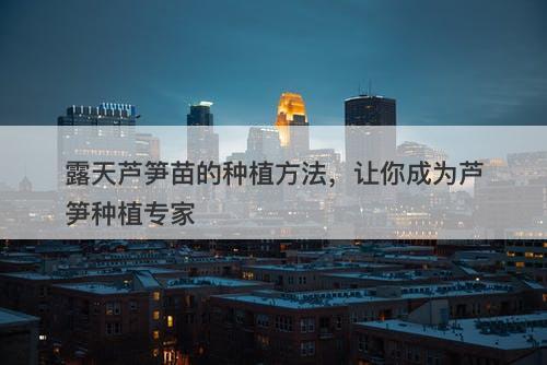 露天芦笋苗的种植方法,让你成为芦笋种植专家