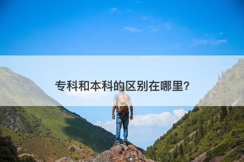专科和本科的区别在哪里?