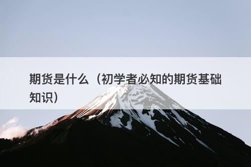 期货是什么（初学者必知的期货基础知识）