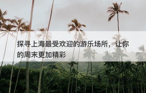 探寻上海最受欢迎的游乐场所,让你的周末更加精彩
