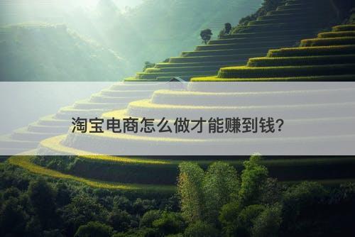 淘宝电商怎么做才能赚到钱？