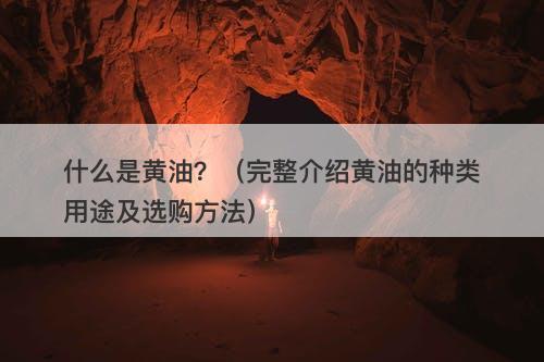 什么是黄油？（完整介绍黄油的种类用途及选购方法）