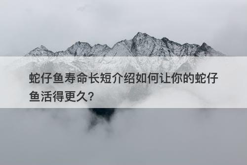 蛇仔鱼寿命长短介绍如何让你的蛇仔鱼活得更久?