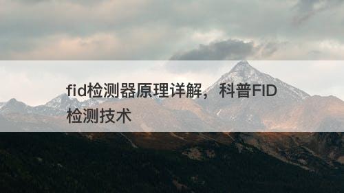 fid检测器原理详解,科普FID检测技术