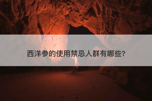 西洋参的使用禁忌人群有哪些?