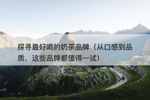 探寻最好喝的奶茶品牌（从口感到品质，这些品牌都值得一试）