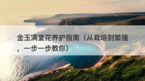 金玉满堂花养护指南（从栽培到繁殖，一步一步教你）