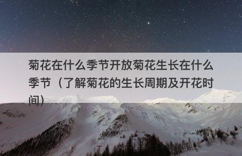 菊花在什么季节开放菊花生长在什么季节（了解菊花的生长周期及开花时间）