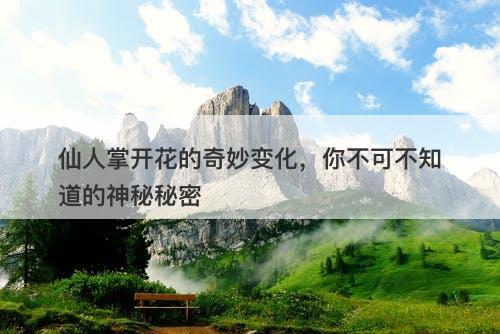 仙人掌开花的奇妙变化，你不可不知道的神秘秘密