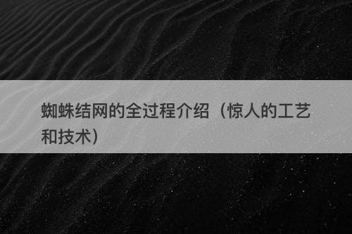 蜘蛛结网的全过程介绍（惊人的工艺和技术）-图1