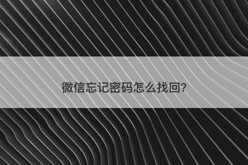 微信忘记密码怎么找回？