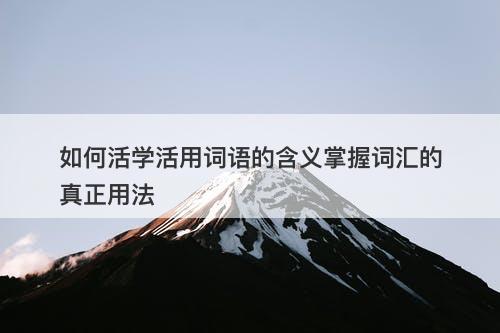 如何活学活用词语的含义掌握词汇的真正用法