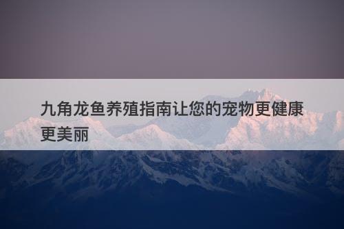 九角龙鱼养殖指南让您的宠物更健康更美丽-图1 九角龙鱼养殖指南让您的宠物更健康更美丽-图1