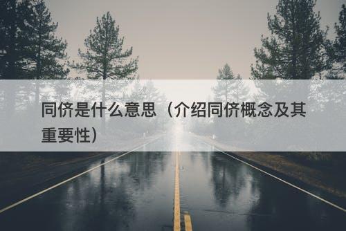 同侪是什么意思（介绍同侪概念及其重要性）-图1