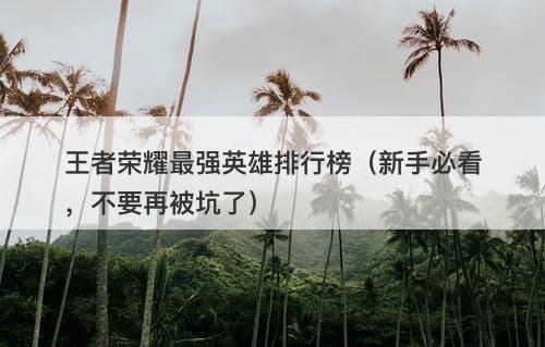 王者荣耀最强英雄排行榜（新手必看，不要再被坑了）