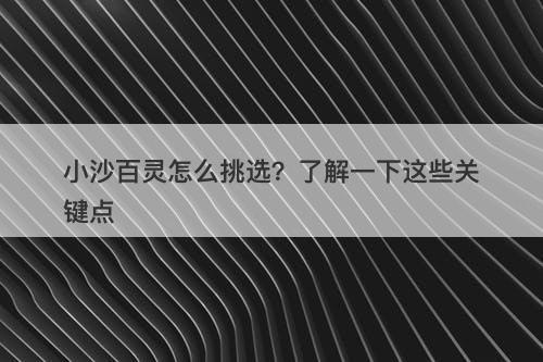 小沙百灵怎么挑选？了解一下这些关键点