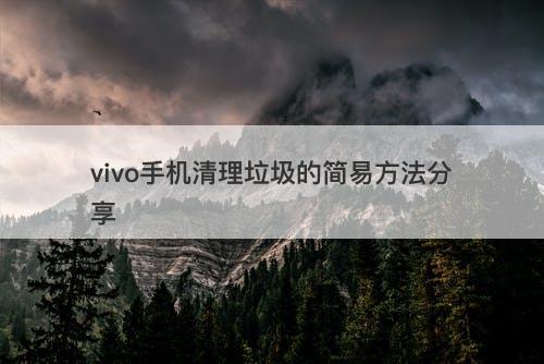 vivo手机清理垃圾的简易方法分享