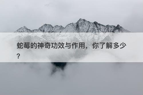 蛇莓的神奇功效与作用,你了解多少?