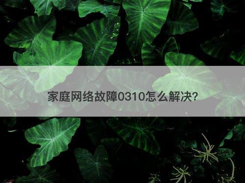 家庭网络故障0310怎么解决?