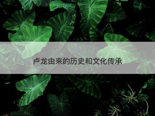 卢龙由来的历史和文化传承-图1