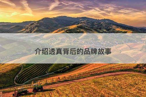 介绍透真背后的品牌故事