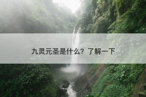 九灵元圣是什么?了解一下