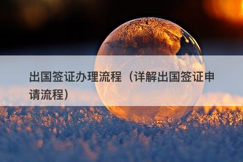 出国签证办理流程(详解出国签证申请流程)