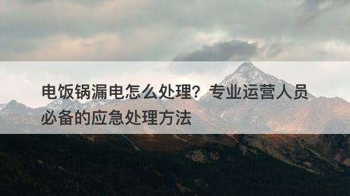电饭锅漏电怎么处理？专业运营人员必备的应急处理方法-图1
