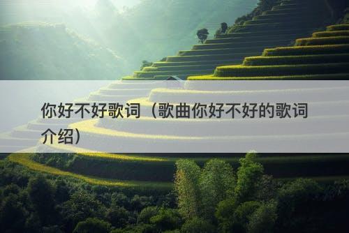 你好不好歌词(歌曲你好不好的歌词介绍)