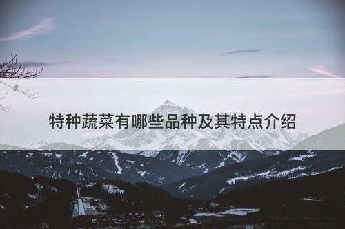 特种蔬菜有哪些品种及其特点介绍