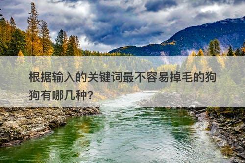 根据输入的关键词最不容易掉毛的狗狗有哪几种？