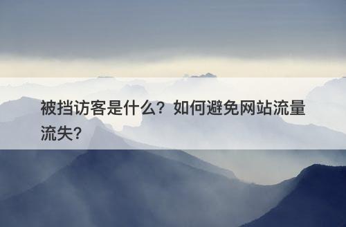 被挡访客是什么？如何避免网站流量流失？