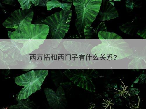 西万拓和西门子有什么关系？-图1