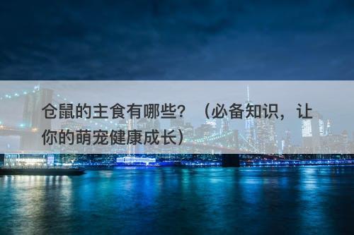 仓鼠的主食有哪些？（必备知识，让你的萌宠健康成长）